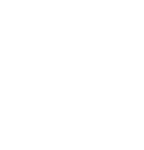 IBV